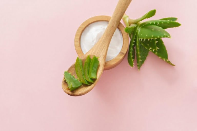 Produtos naturais com babosa