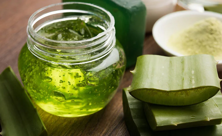 Produtos naturais para o cabelo, feitos com babosa